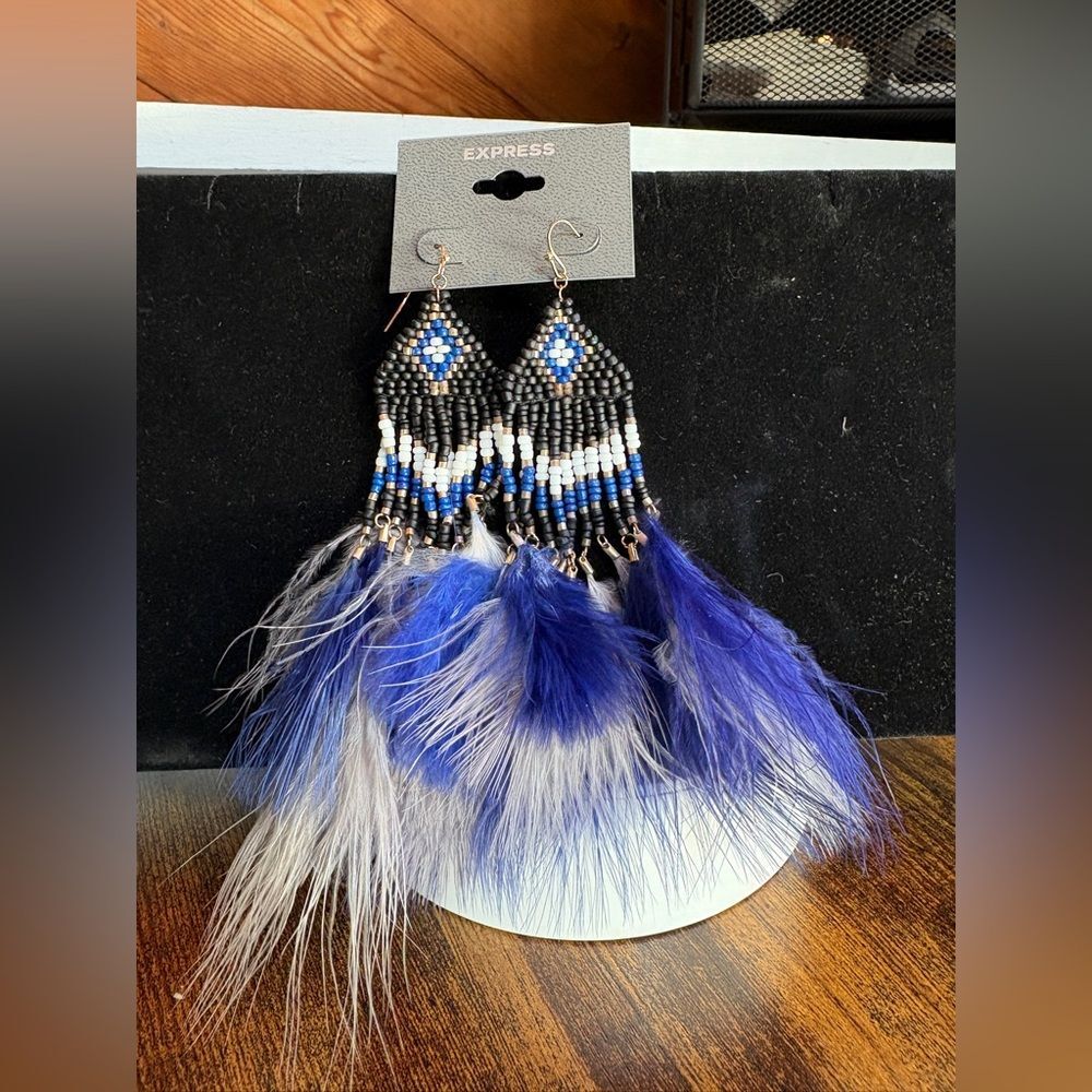 Express Blue and Black Statement Earrings with Feather Accents